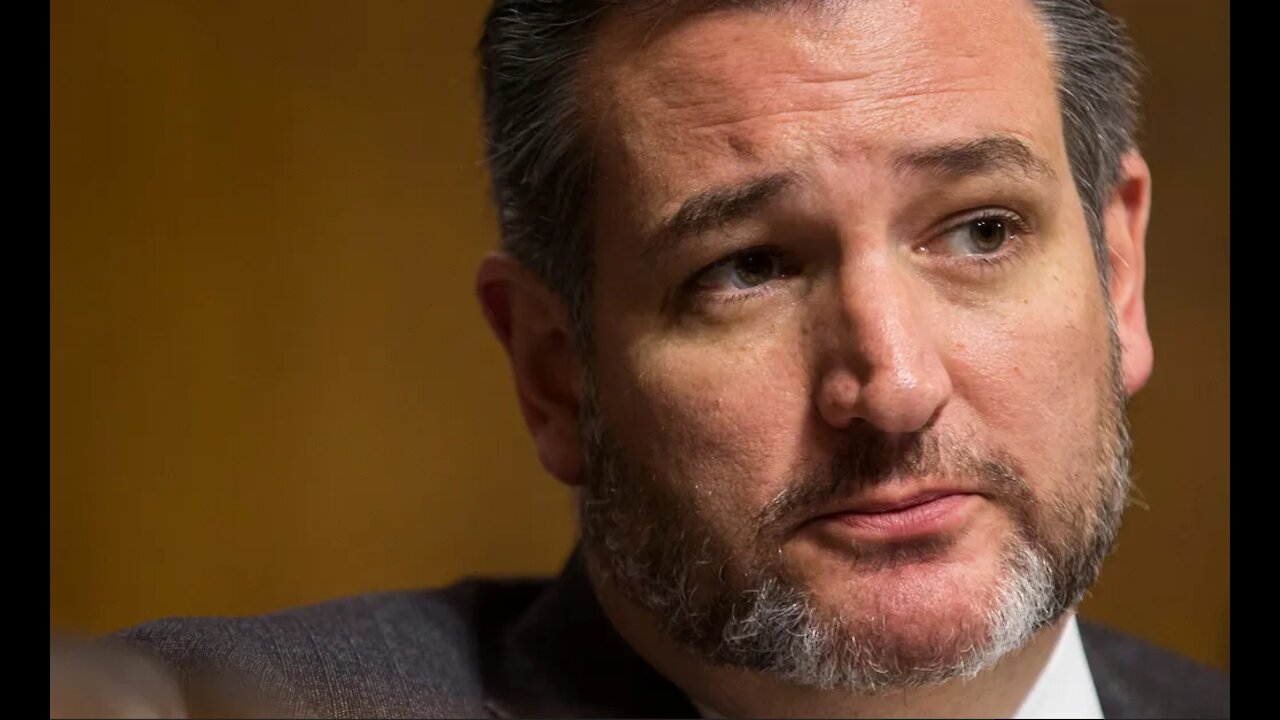 Senator Ted Cruz Grills Democrats Who Claim Voter ID Laws Are Racist