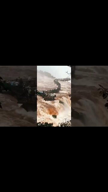 What the hell was this😱😱What will happen to them😱😱😱(මේ මොකක්ද මේ වූනේ දෙයියනේ😱මෙයාලට මොනවා වෙයිද )😱😱