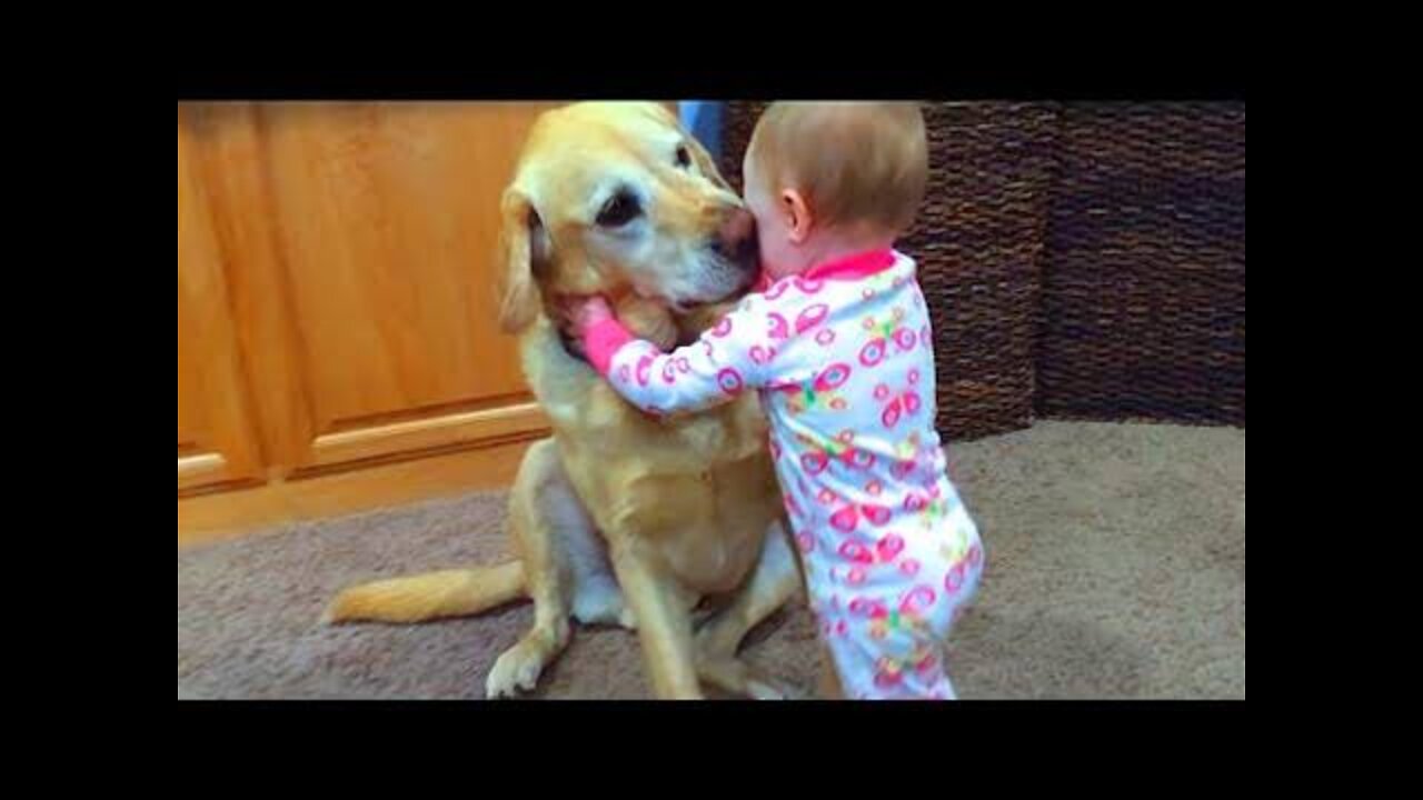 Most Viral DOGS on the internet! 🐶 Ultimate Funny Dogs Compilation! 🐶