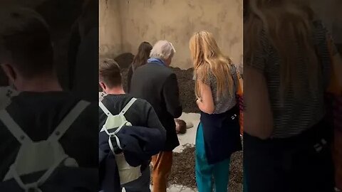 #shorts #entertainment #trending