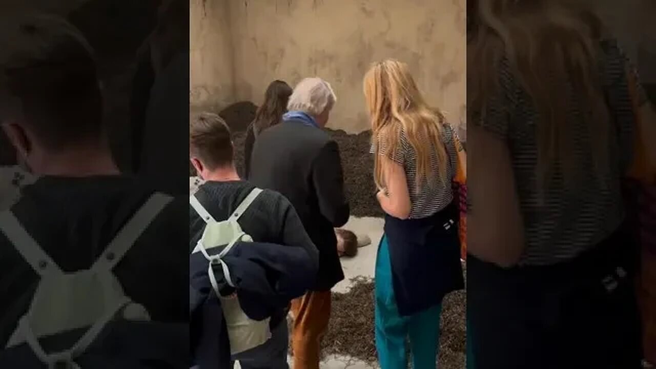 #shorts #entertainment #trending