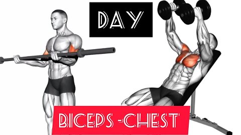 Workout biceps and chest (gym)