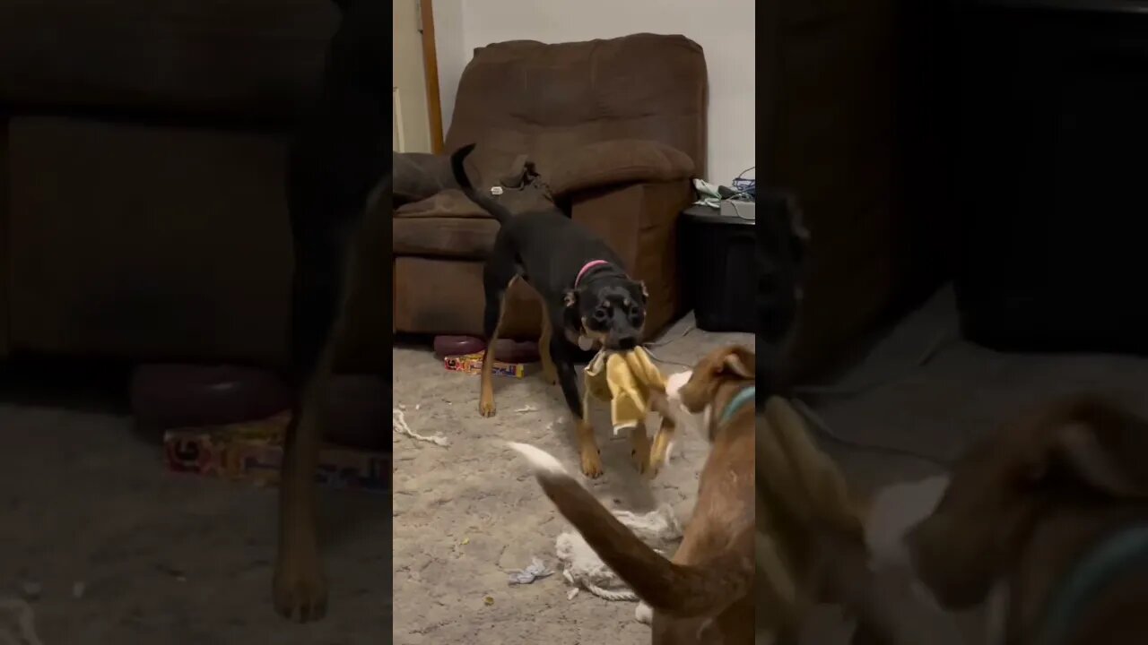 It’s worth it though :)