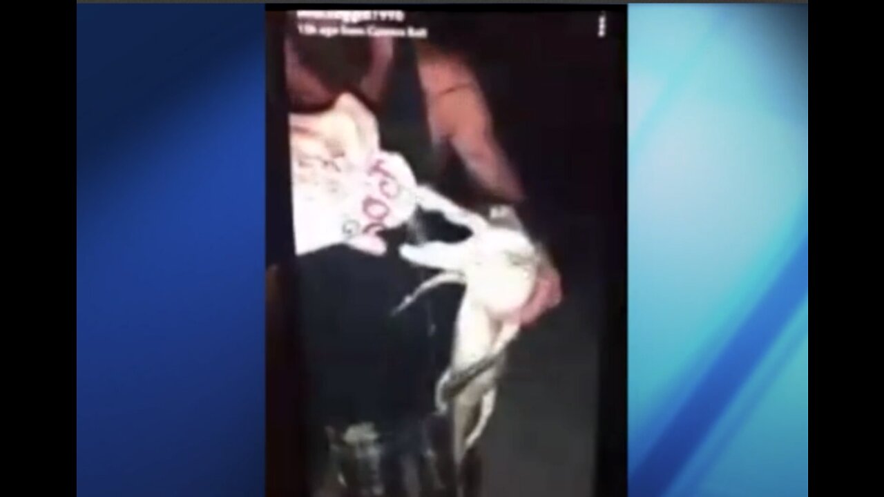 Martin County men accused of pouring beer into gator's mouth