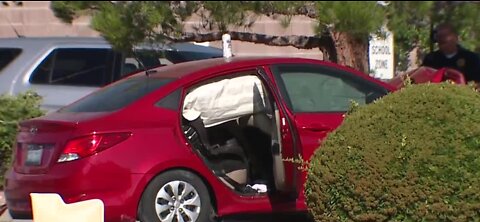 Car crashes into tree