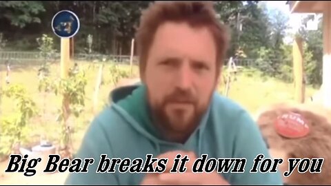 Big Bear Breaks it Down for You - Giving you a wake up call