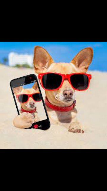 Start your day with a smile!!