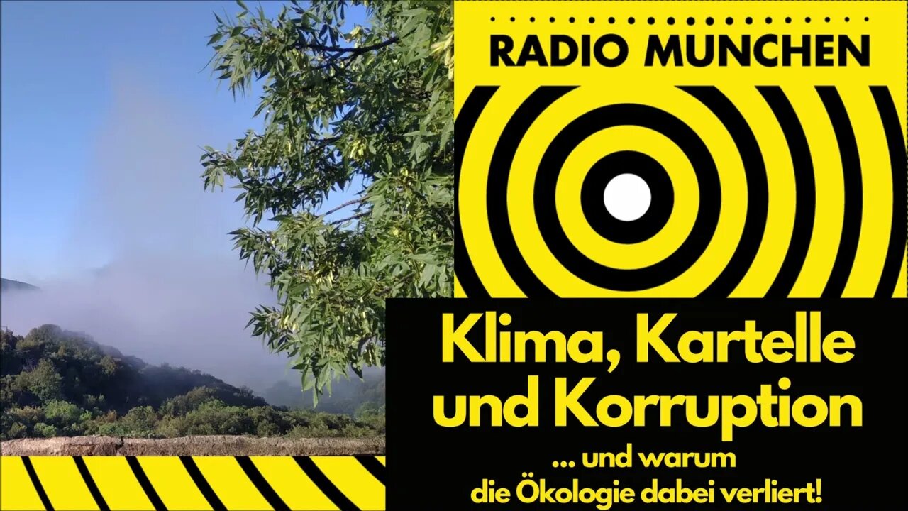 Klima, Kartelle, Korruption | Aufklärung Klimaschwindel | Tom-Oliver Regenauer