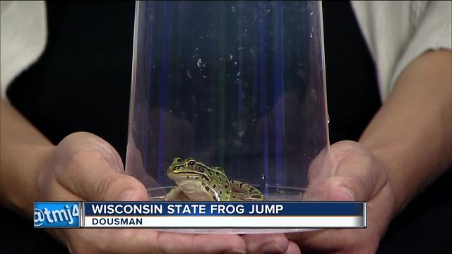 62nd Annual Wisconsin State Frog Jump