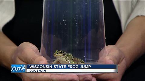 62nd Annual Wisconsin State Frog Jump