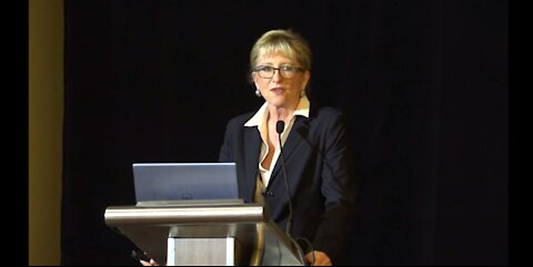 Dr Lee Merritt Packs Mountains of Information Deconstructing Fallacy of the Pandemic
