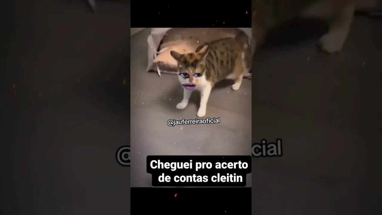 que cachorro so cachorro nao kkk