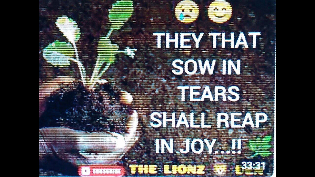 12 TRIBES WITH THE VIBES- ENDURE THESE LAST DAYZ! 4