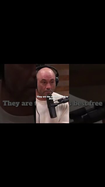 BEST FREE Divers : Joe Rogan