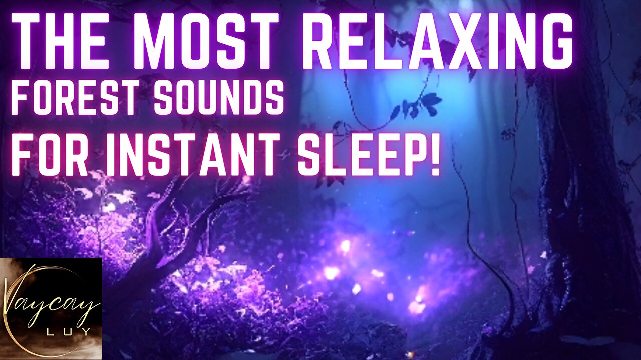 ✨Zen Nocturnal Forest | Relaxing music | Sleep Instantly😴