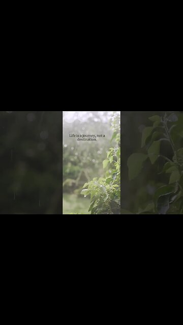 Life's Journey: A Thought-Provoking Quote