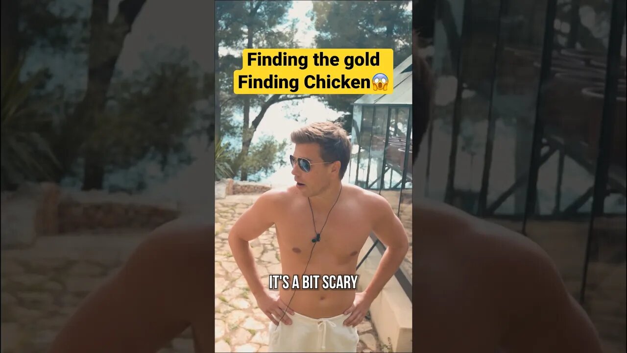 😂This Chicken finds gold #gold #chicken