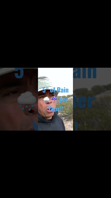 5” of Rain a Year!! 😱 🌧️ #shorts #tips #gardening