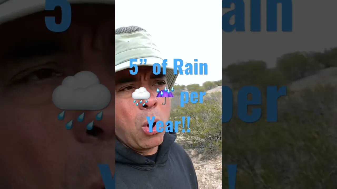 5” of Rain a Year!! 😱 🌧️ #shorts #tips #gardening