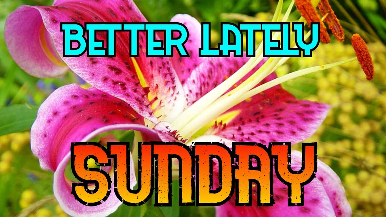 Better Lately - Sunday