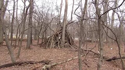 Robinson Woods