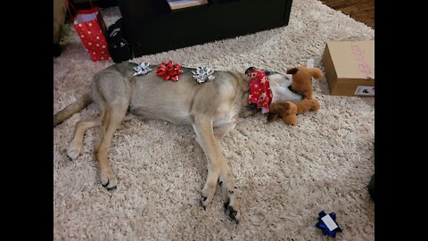 Wiley 🎁 presents.