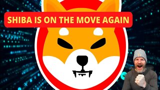 Shiba is on the move again! Let's talk trade strategy.