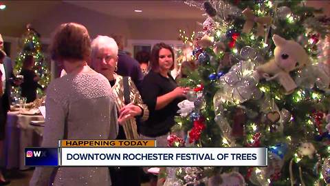 Downtown Rochester Festival Of Trees