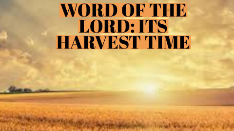 WORD OF THE LORD: IT'S HARVEST TIME