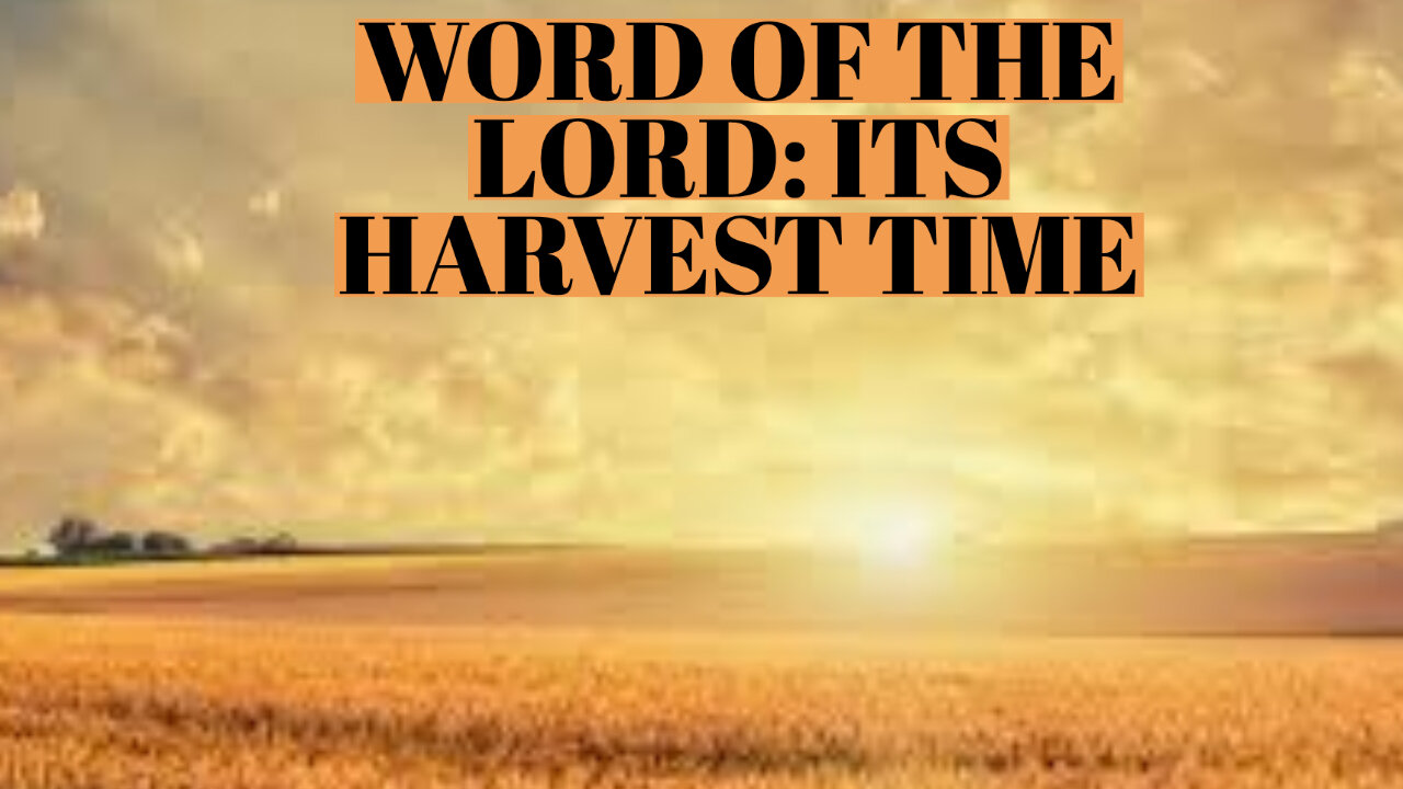 WORD OF THE LORD: IT'S HARVEST TIME