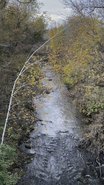 Peaceful stream in fall