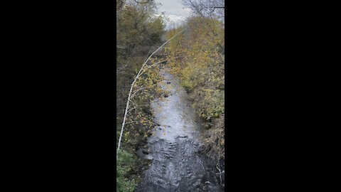 Peaceful stream in fall