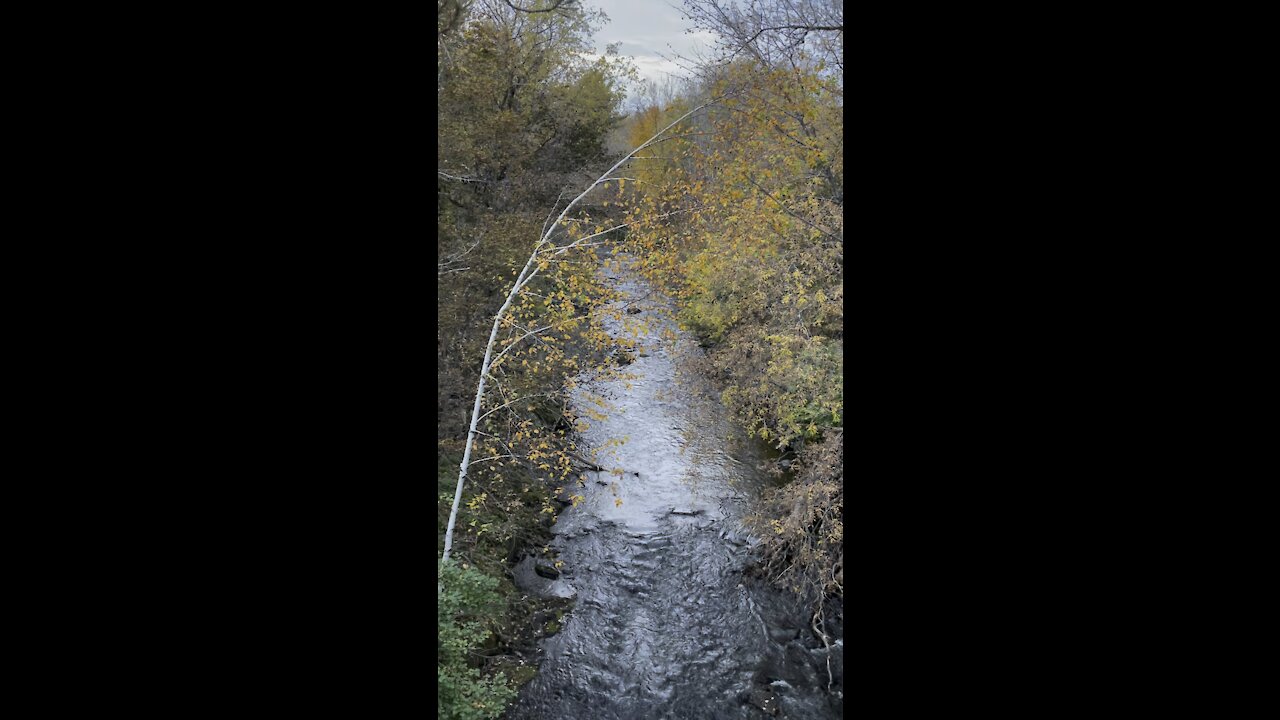 Peaceful stream in fall