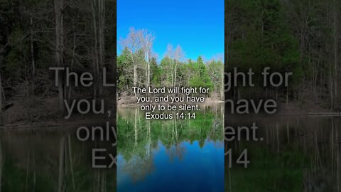 ‭‭Exodus‬ ‭14:14‬ ‭#fight #Lord #God #Jesus #christianity #bible