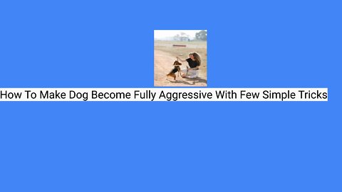 How To Make Dog Become Aggressive With Few Simple Tricks