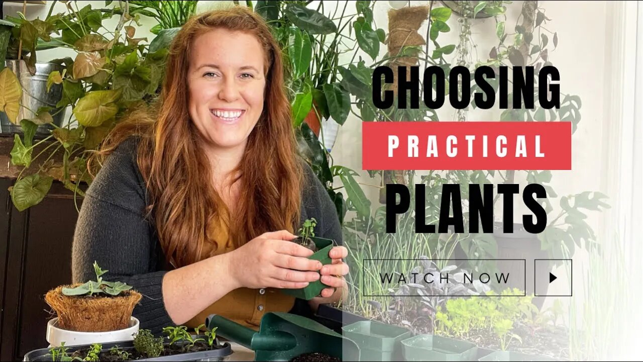 Choosing Garden Plants That Will Help Lower Your Grocery Bill. Practical Garden Plants For Canadians