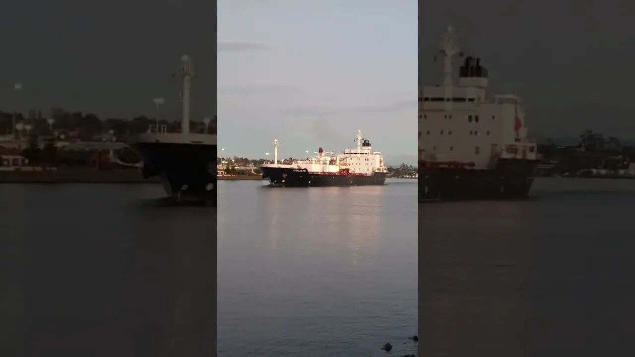 Ship Goliath Sailing From Devonport Tasmania. #trending #shorts #merchantnavy #lifeatsea #ship