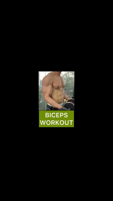 NATTY BICEP GAINS | BICEP WORKOUT #shorts