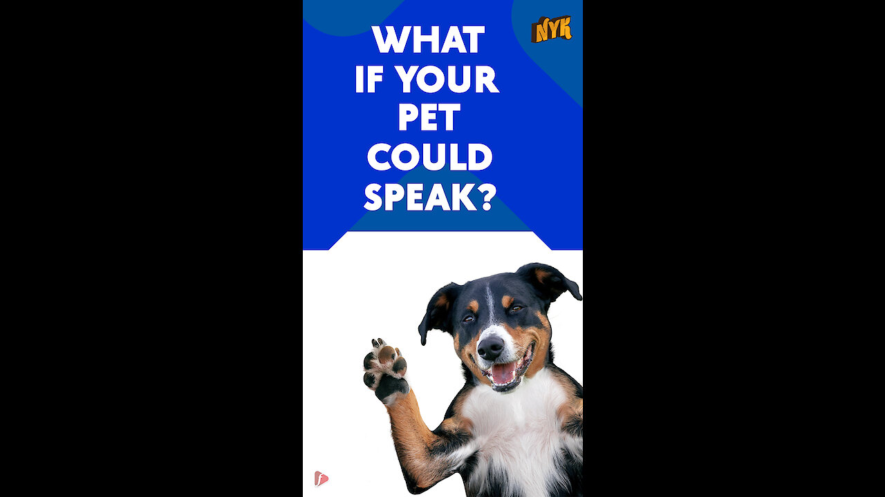 What if your pet could speak? *