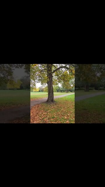 Southall Park London UK #shorts #reels #bharatsamgi
