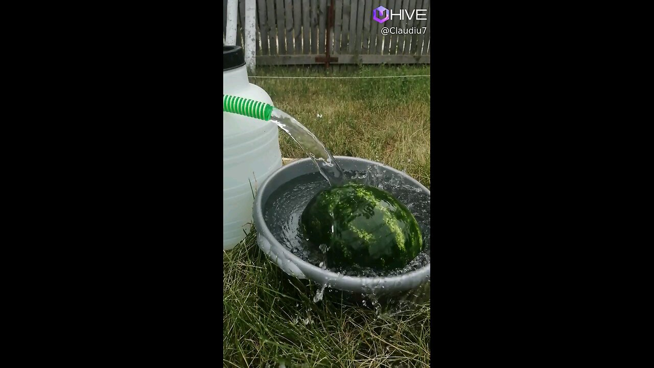 Summer - natural cooling watermelon