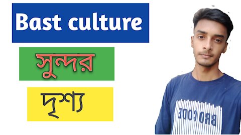 Nice culture