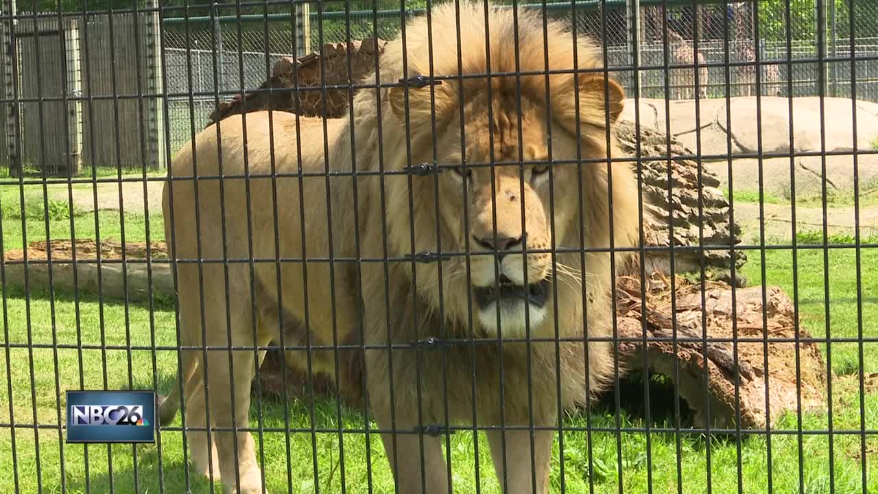 How the zoo prepares for severe weather