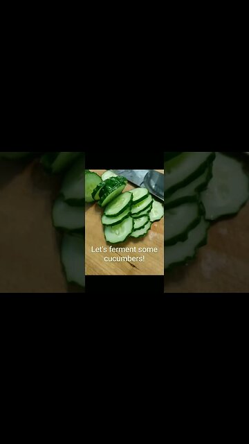 Fermented CUCUMBERS