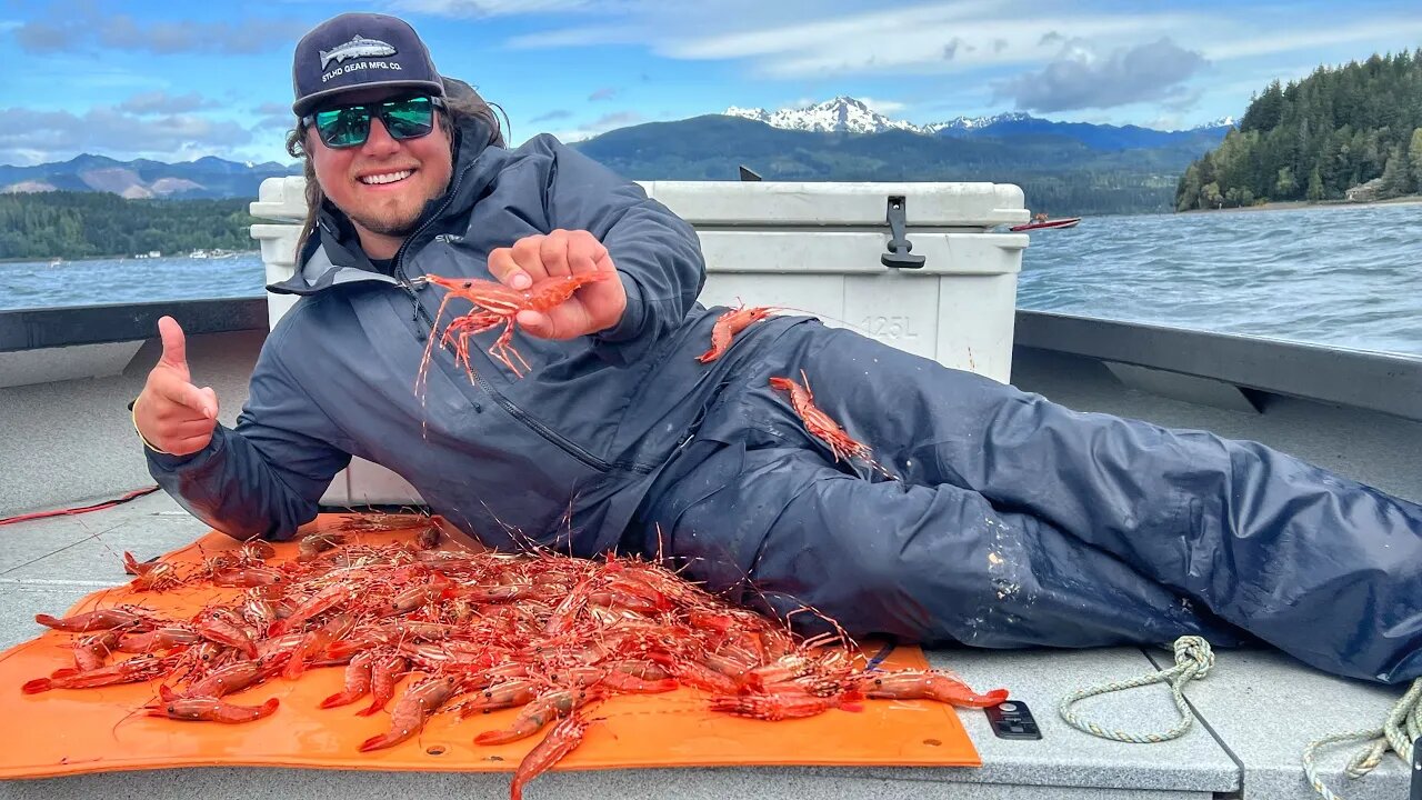 These SHRIMP Taste Like CANDY! (Catch & Cook)