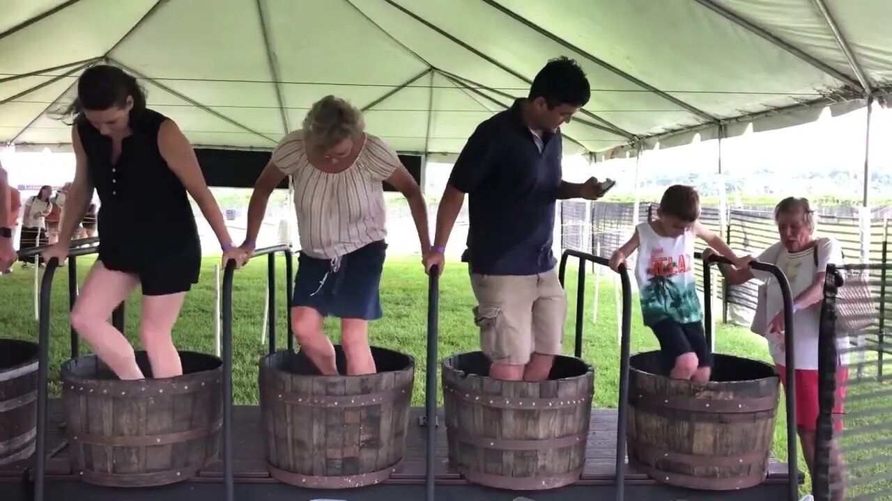 Grape Stomp 2019 06 09 Family Stomp