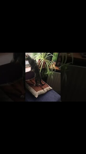 13 - Maggie ...my progress....