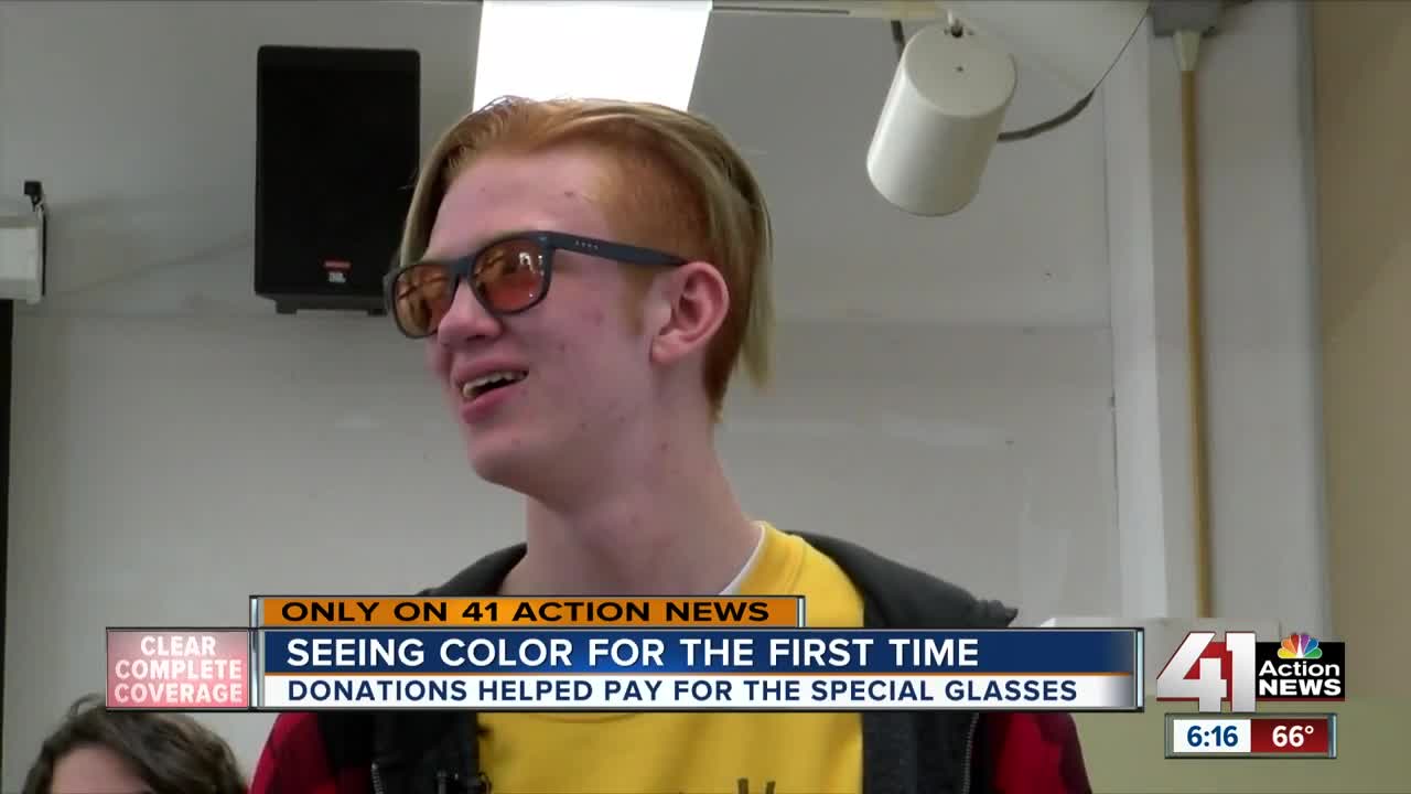 New glasses give colorblind Raytown native new appreciation for art