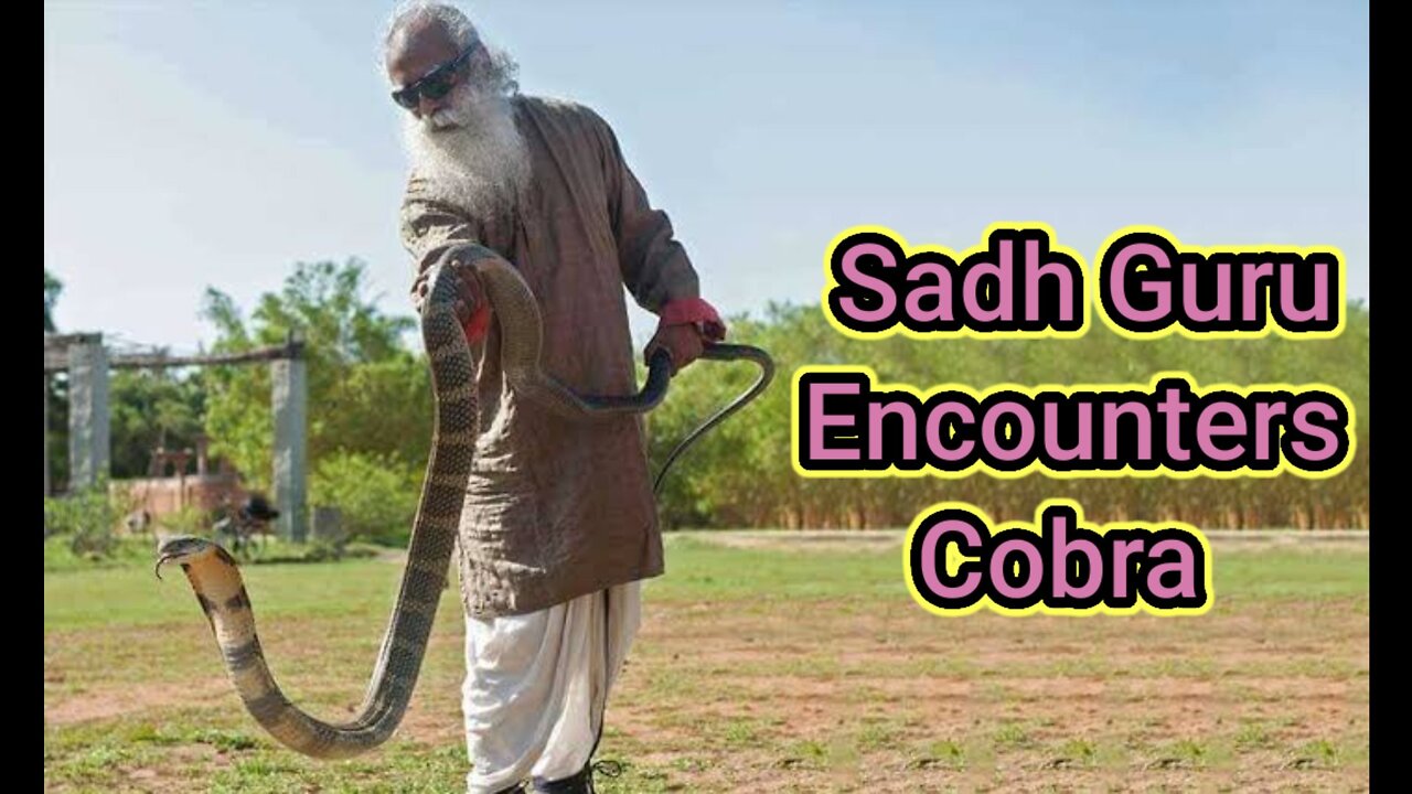 Sadh Guru Encounters Cobra