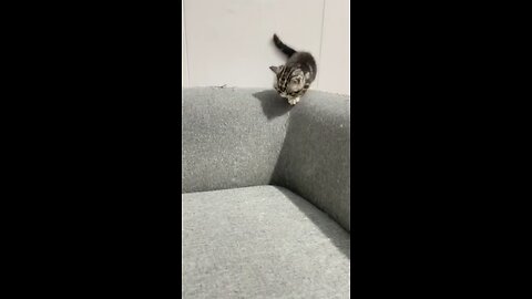 Awwww